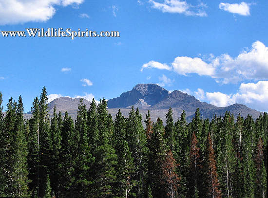 Click Picture to send as an  E-PostCard 62k 550x407